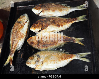 Fresh whole fish being grilled on a barbecue Stock Photo