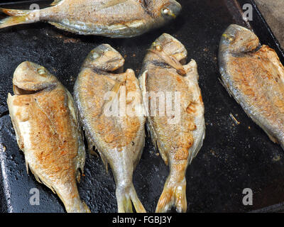 Fresh whole fish being grilled on a barbecue Stock Photo