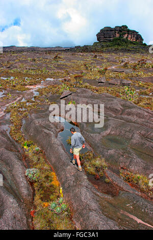 Mount Roraima in Venezuela, South America Stock Photo - Alamy