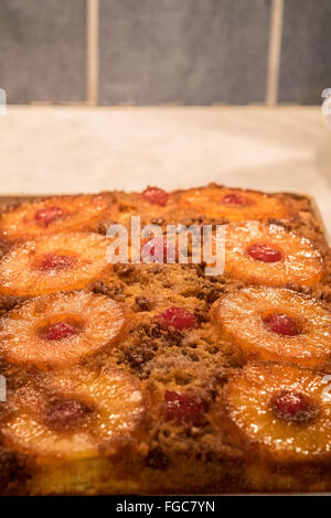 A whole Pineapple upside down cake, with brown sugar, pineapple slices, marascheno cherries and pecan topping, Stock Photo