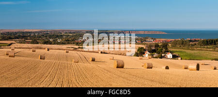 A view of harvested fields with rolls of bound straw looking back towards the coast and Filey Brigg. Filey, North Yorkshire. Sep Stock Photo