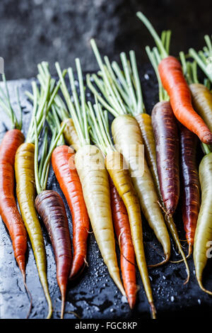 Rainbow carrots on black background Stock Photo