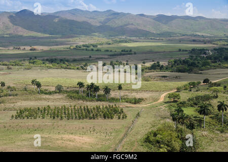 View of Valle de Los Ingenios (Valley of the Sugar Mills) from the Mirador de la Loma del Puerto, Trinidad, Cuba Stock Photo