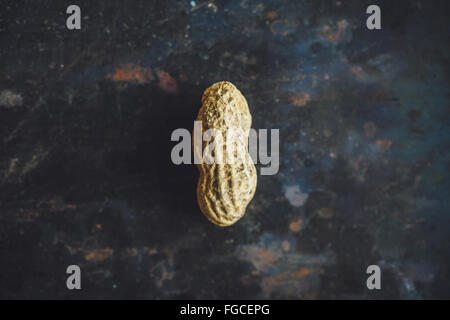One fresh peanut in shell on dark backgrond Stock Photo