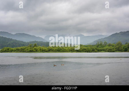 Elter Water with view towards Langdale, Cumbria. Stock Photo