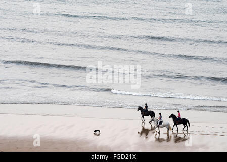 Horse riding on Saltburn beach, North Yorkshire. Stock Photo
