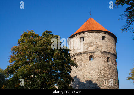 Kiek in de Kök cannon tower, Tallinn, Estonia Stock Photo