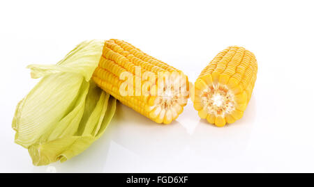 Corn on the cob kernels isolated Clipping Path Stock Photo