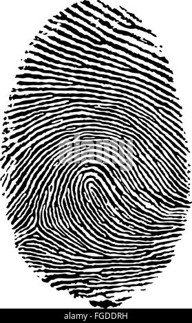 Vector format of finger print. Stock Vector