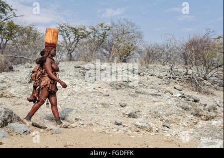 Himba woman carrying plastic containers full of water on her head while she carries her baby at the back. Stock Photo