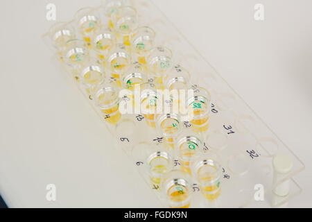 Lab tech loading samples into a chemistry analyzer Stock Photo
