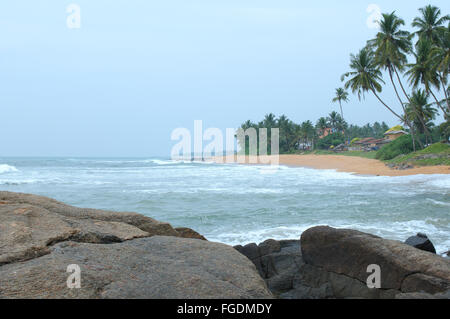 Palm trees on the rocky shores of the Indian Ocean, Hikkaduwa, Sri Lanka, South Asia Stock Photo