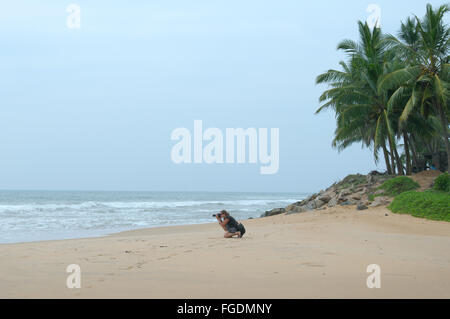 Young woman photographed the waves on the sandy beach, Hikkaduwa, Sri Lanka, South Asia Stock Photo