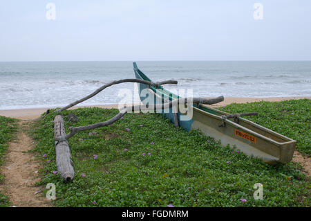 Traditional  catamaran Fishing Boat Sri Lanka is on the grass by the ocean, Hikkaduwa, Sri Lanka, South Asia Stock Photo