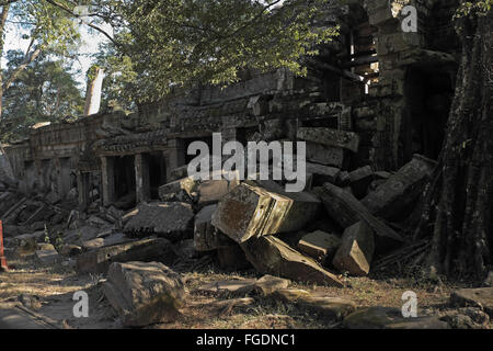 Part of the ruins of Ta Phrom, Angkor Thom, near Siem Reap, Cambodia, Asia. Stock Photo