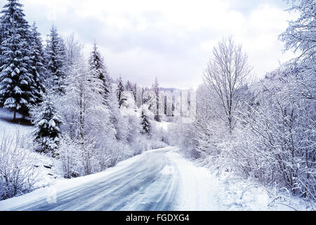 Winding road in snowy forest between mountains Stock Photo