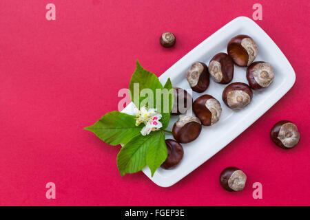 Chestnuts on white plate and red background Stock Photo
