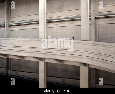 Lingotto building garage ramp in Torino Italy, built in 20s/30s. Details of the spiral style ramp that goes to roof top, pigeon on the balustrade Stock Photo