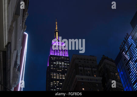 Empire State Building Lit in Purple and Yellow for the 140th Annual Westminster Kennel Club All Breed Dog Show, NYC, USA Stock Photo