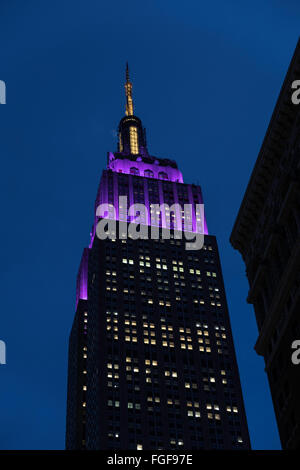 Empire State Building Lit in Purple and Yellow for the 140th Annual Westminster Kennel Club All Breed Dog Show, NYC, USA Stock Photo