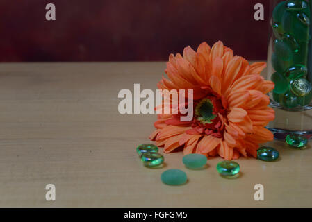 close up gerbera and green marble with copy space Stock Photo