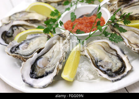 fresh oysters plate isolated on white wooden background Stock Photo