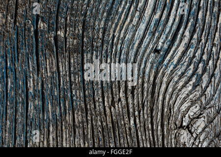 Blue and Grey wood grain texture Stock Photo