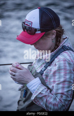 A woman changes flies while fly fishing at dusk in Montana. Stock Photo