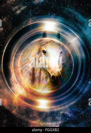 Horse in space, in circle light. Mirror on the planet Earth. Animal concept Stock Photo