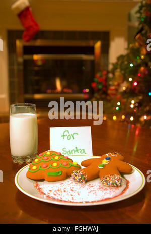 a couple of festive Christmas cookies for Santa Claus Stock Photo