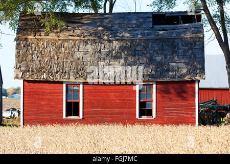 Small red wooden barn, with cedar shingles, in the country with golden colored wheat in the foreground Stock Photo