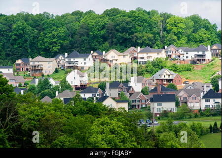 New Subdivision in Wooded Area Stock Photo