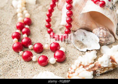 seashells and red necklace on sand at the beach Stock Photo
