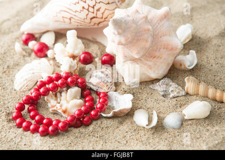 seashells and red necklace on sand at the beach Stock Photo