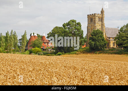 Harvest Time at Horsmonden, Kent, UK, with St Margaret's Church and Oast Houses, England, UK, GB Stock Photo