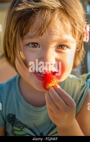 Toddler eating a strawberry Stock Photo