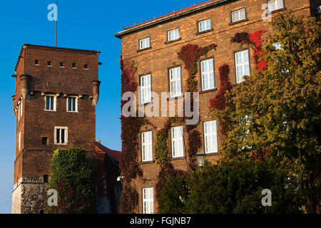 Autumn ivy on the wall of the building. Wawel Royal Castle. Poland. Krakow. Stock Photo