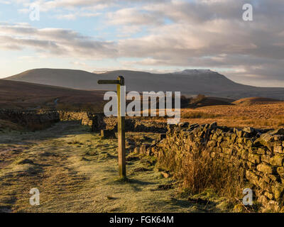 Landscape of Ingleborough over a drystone wall in the winter time with sign post in the foreground Stock Photo