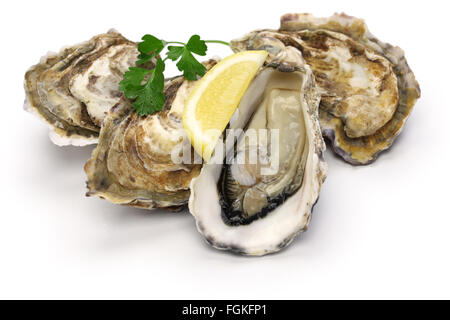 fresh oysters isolated on white background Stock Photo