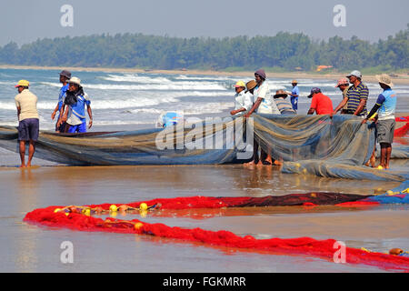Fishermen hauling nets in on a beach in Maharashtra, South India Stock Photo
