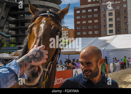 View of a hand tattoo on a head horse, Madrid city, Spain Stock Photo