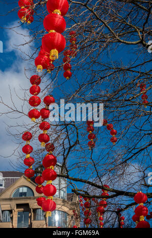 Red lanterns decorate the trees in Manchester City Centre to celebrate Chinese New Year Stock Photo
