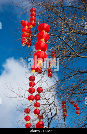 Red lanterns decorate the trees in Manchester City Centre to celebrate Chinese New Year Stock Photo