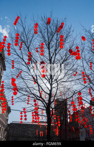 Red lanterns decorate the trees in Manchester City Centre to celebrate Chinese New Year Stock Photo