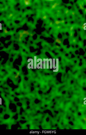 Background blur of green and black. Stock Photo