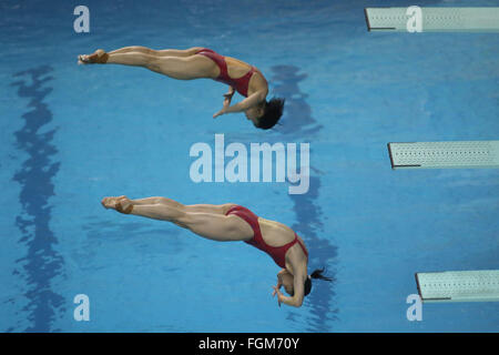 Rio De Janeiro, Brazil. 20th Feb, 2016. China's Shi Tingmao (top) and Wu Minxia compete during the women's 3m Springboard Syncronized final diving event at the FINA World Cup in Maria Lenk Aquatics Centre in Rio de Janeiro, Brazil, on Feb. 20, 2016. © Rahel Patrasso/Xinhua/Alamy Live News Stock Photo