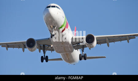 TAP Portugal Transportes Aéreos Portugueses Airbus a321 CS-TJF coming into land at London Heathrow Airport LHR Stock Photo