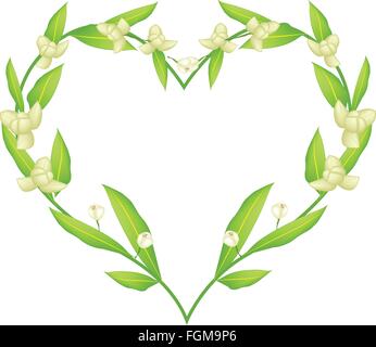 Love Concept, Illustration of Ylang-Ylang Flowers Forming in A Heart Shape Frame Isolated on White Background. Stock Vector