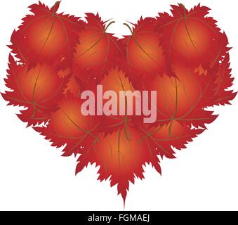 Love Concept, Illustration of Red Maple Leaves Forming in Heart Shape Isolated on White Background. Stock Vector