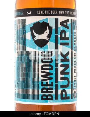 Brewdog Punk IPA bottle beer on a white background